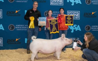 5th Overall Yorkshire Gilt – 2024 NJSA Winter National