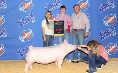 4th Overall Yorkshire Gilt – 2024 San Antonio Stock Show