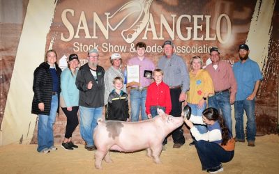 Champion Division 2 Light Cross Gilt – 2024 San Angelo Stock Show