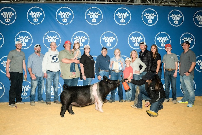 4th Overall Commercial Gilt – 2024 OYE