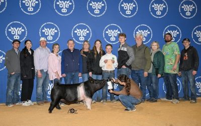 10th Overall Dark Crossbred Barrow – 2024 OYE