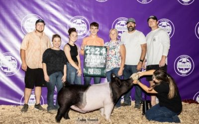 Reserve Division 3 Crossbred Barrow  – 2024 Michigan Livestock Expo