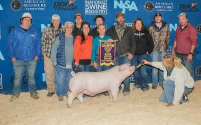 Reserve Champion Landrace Barrow – 2024 NJSA Western Regional