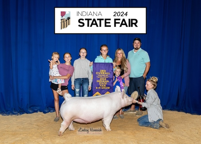 3rd Overall Yorkshire Gilt – 2024 Indiana State Fair Jr Show