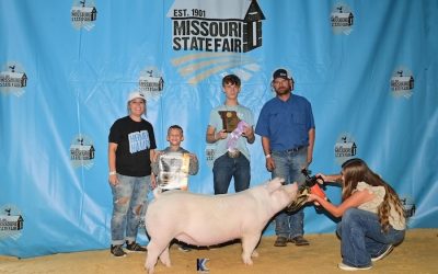 Reserve Champion AOB Gilt – 2024 Missouri State Fair 4-H Show