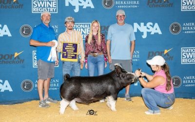 3rd Overall Berkshire Barrow – 2024 The Exposition