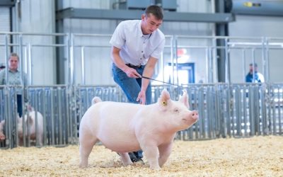 Reserve Division 1 Yorkshire Gilt – 2024 NJSA Eastern Regional