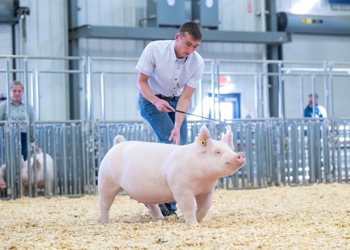 Reserve Division 1 Yorkshire Gilt – 2024 NJSA Eastern Regional
