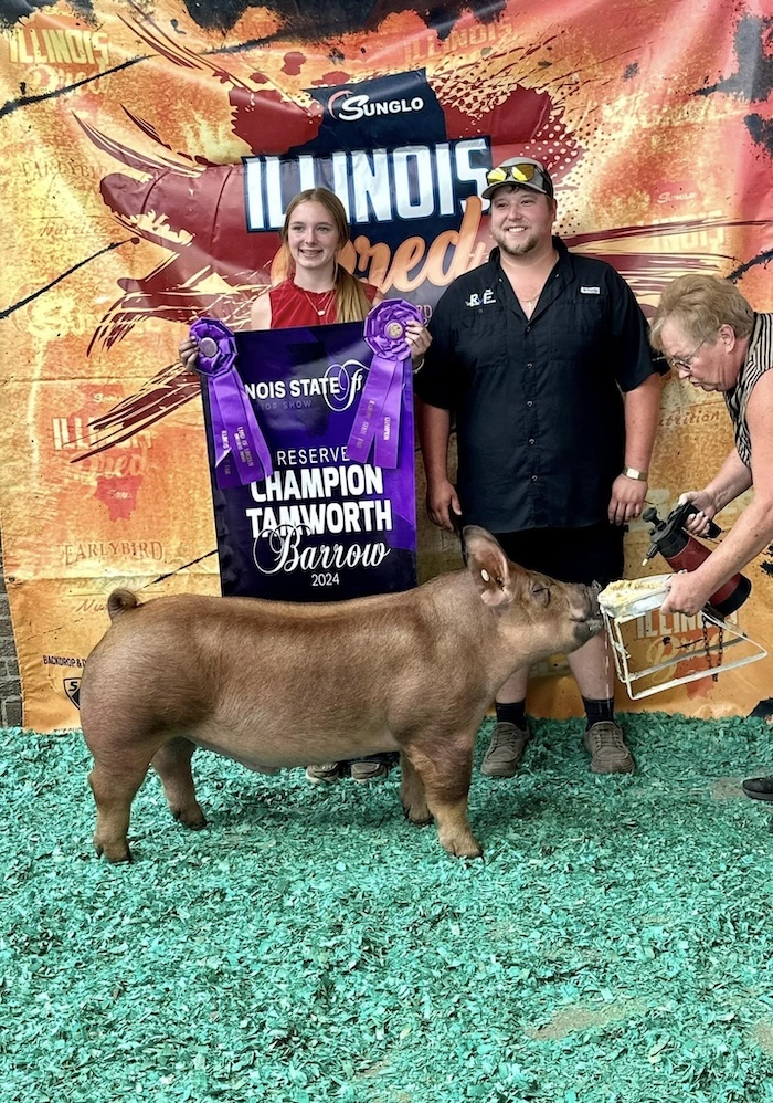 Reserve Champion Tamworth Barrow – 2024 Illinois State Fair Jr Show