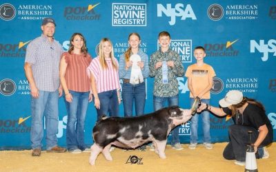 3rd Overall Division 1 Spot Gilt – 2024 The Exposition