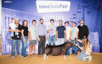 Champion Poland Gilt – 2024 Iowa State Fair 4-H Show