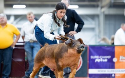 4th Overall Division 1 Duroc Barrow – 2024 The Exposition