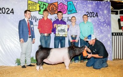 3rd Overall Gilt & 3rd Crossbred – 2024 Montana State Fair