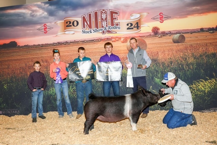Reserve Overall Gilt & Reserve Crossbred – 2024 NILE Stock Show & Rodeo