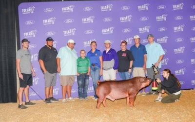 3rd Overall Duroc Barrow – 2024 Tulsa State Fair
