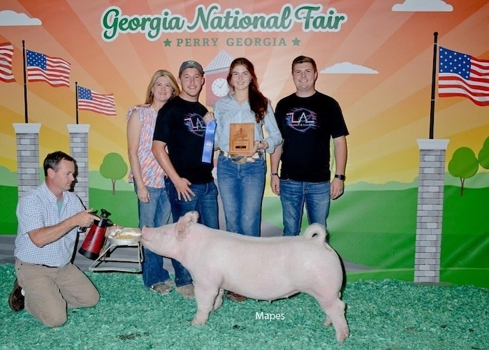 Reserve Champion Yorkshire Gilt – 2024 Georgia National Fair
