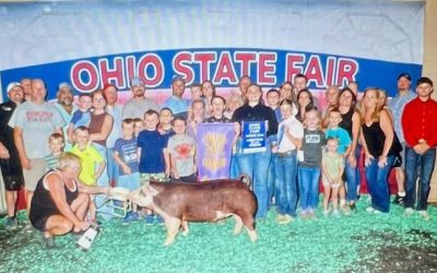 Reserve Champion Hereford Gilt – 2024 Ohio State Fair Jr Show