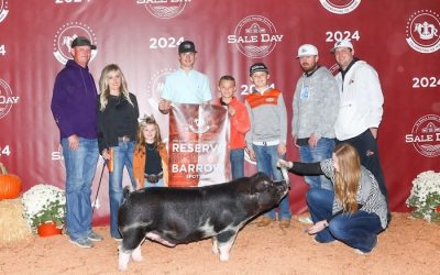 Reserve Champion Spot Barrow – 2024 American Royal