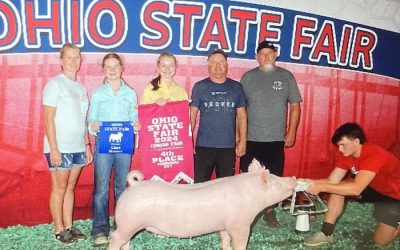 4th Overall Yorkshire Gilt – 2024 Ohio State Fair Jr Show