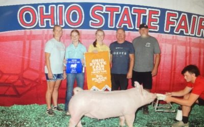 5th Overall Yorkshire Gilt – 2024 Ohio State Fair Jr Show