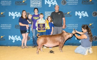 5th Overall Tamworth Gilt – 2024 The Exposition