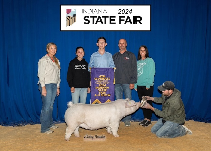 4th Overall Landrace Gilt – 2024 Indiana State Fair Jr Show