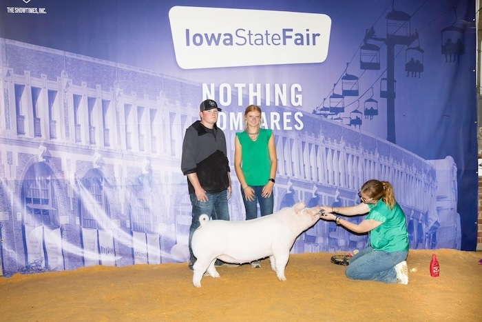 Champion Chester Gilt – 2024 Iowa State Fair 4-H Show