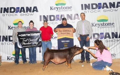 3rd Overall Market Hog & Reserve Champion Duroc – 2024 Indiana Stock Show Show
