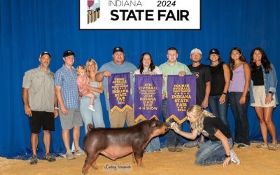 4th Overall Duroc Barrow – 2024 Indiana State Fair Jr Show