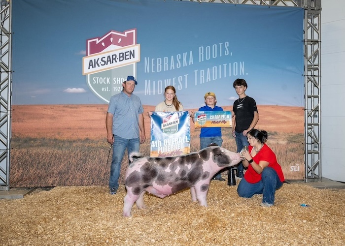 4th Overall Purebred Market Hog & Champion Spot – 2024 Aksarben