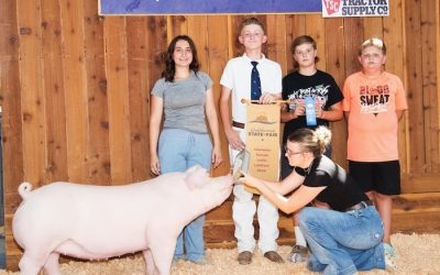 Champion Landrace Gilt – 2024 California State Fair