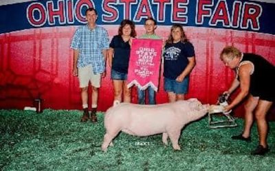 4th Overall Landrace Gilt – 2024 Ohio State Fair Jr Show
