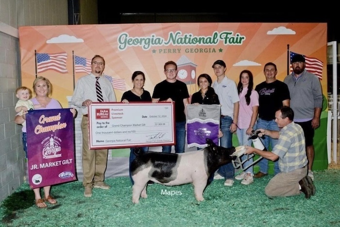 Champion Overall Market Gilt & Champion Crossbred – 2024 Georgia National Fair