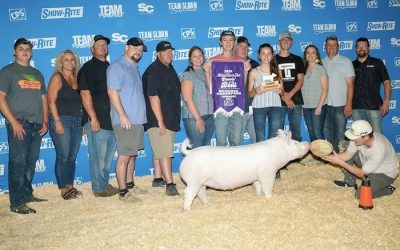 Reserve Champion Yorkshire Gilt – 2024 Team Purebred Jr National