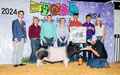 Reserve Overall Gilt & Reserve Crossbred – 2024 Montana State Fair