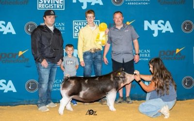 5th Overall Division 1 Spot Gilt – 2024 The Exposition