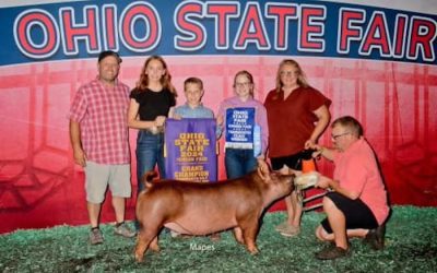 Champion Tamworth Gilt  – 2024 Ohio State Fair Jr Show
