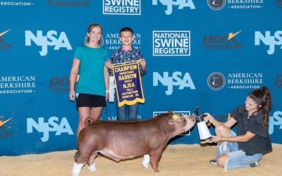 Champion Hereford Barrow – 2024 NJSA Fall Exposition