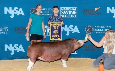 Champion Hereford Gilt – 2024 NJSA Fall Exposition
