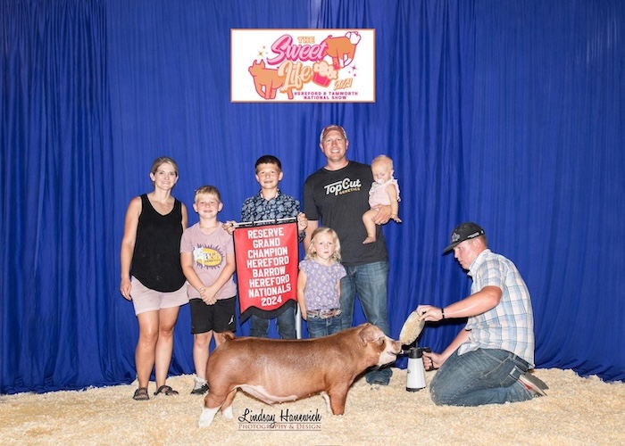 Reserve Champion Hereford Barrow – 2024 Hereford Nationals