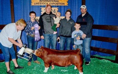 Reserve Champion Hereford Market Hog – 2024 NAILE