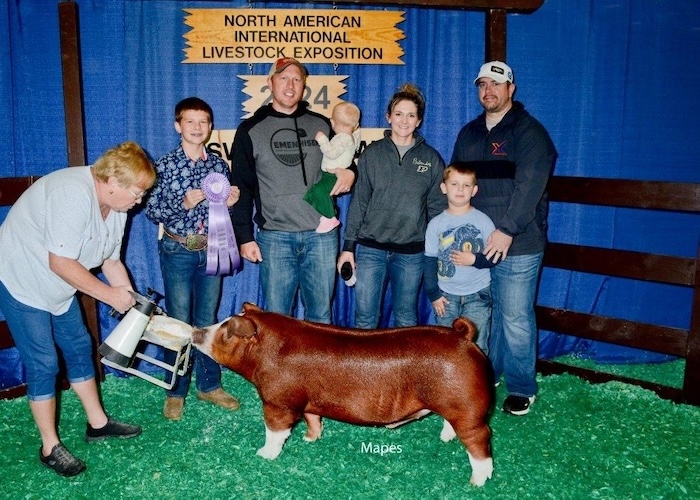 Reserve Champion Hereford Market Hog – 2024 NAILE