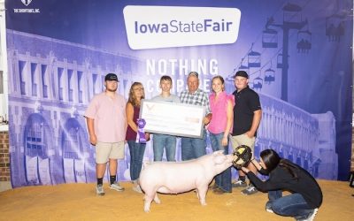 Champion Landrace Gilt  – 2024 Iowa State Fair FFA Show
