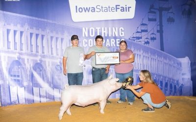 Reserve Champion Landrace Barrow – 2024 Iowa State Fair 4-H Show