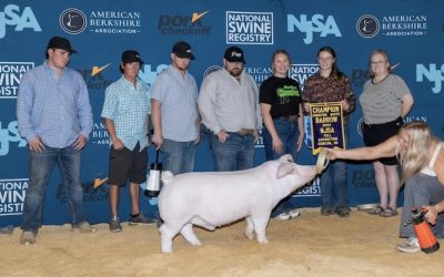 Champion Chester Barrow – 2024 NJSA Fall Exposition