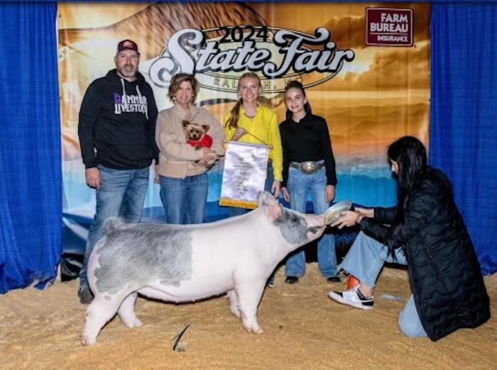 Reserve Champion Crossbred Gilt – 2024 North Carolina State Fair
