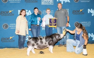4th Overall Spot Gilt – 2024 The Exposition