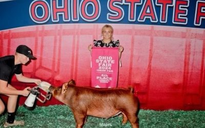 4th Overall Tamworth Barrow – 2024 Ohio State Fair Jr Show