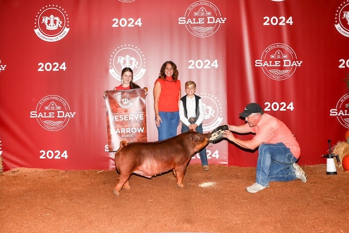 Reserve Champion Duroc Barrow – 2024 American Royal