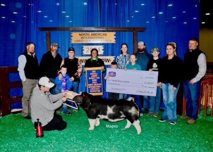 3rd Overall Market Hog & Champion Spot – 2024 NAILE